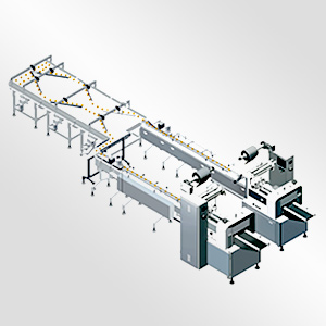 自動(dòng)理料線----配包裝機(jī)：（匹配所有包裝機(jī)的聯(lián)線、通訊）